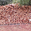 Firewood for Sale