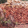 Firewood for Sale