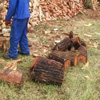 Firewood for Sale