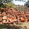 Firewood for Sale