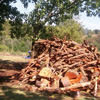 Firewood for Sale