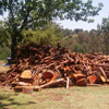 Firewood for Sale