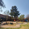 ABA Tree Pruning Services