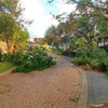 ABA Tree Pruning Services